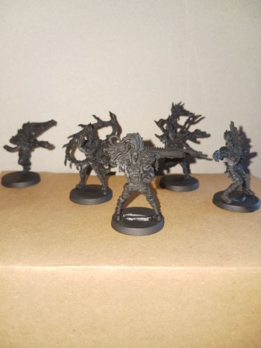 Customer photo review of Wild Dogs All-Stars (JB)