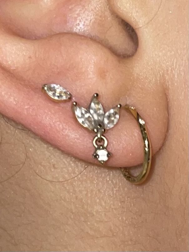 Customer photo review of Single Stone Piercing | Titan
