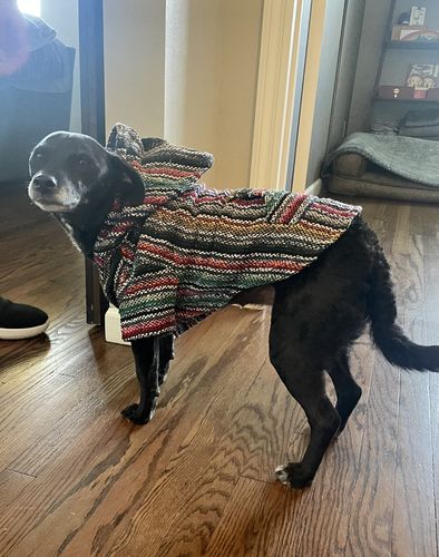 Customer photo review of Playa Poncho - Surprise Color