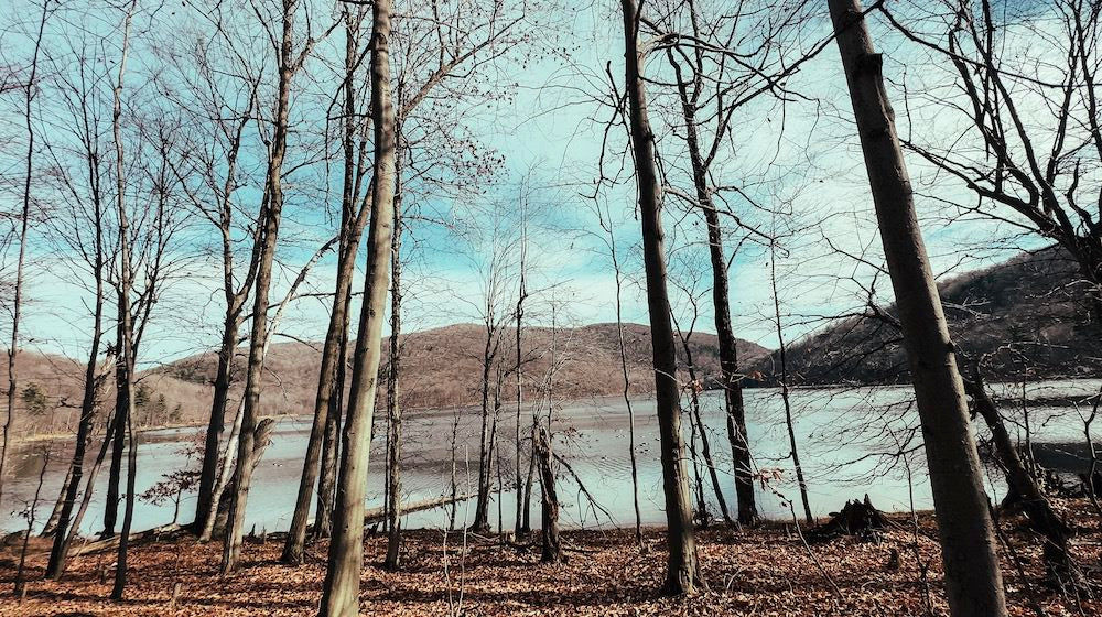 Customer photo review of The Master Collection Lightroom Presets