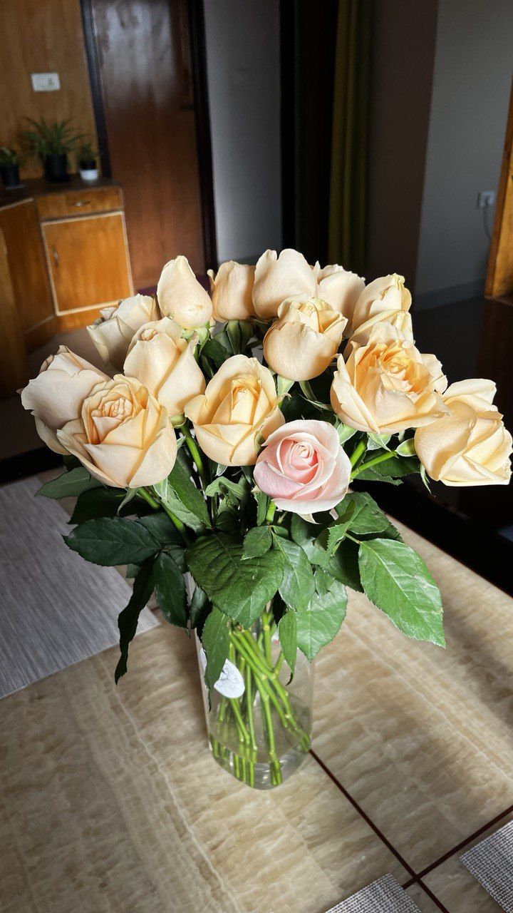 Customer photo review of Roses