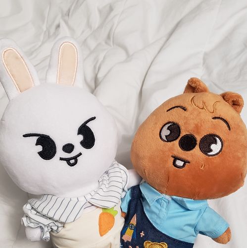 Customer photo review of Stray Kids SKZOO Plushie