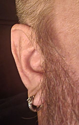 Customer photo review of Ouroboros Earrings