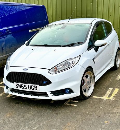 Customer photo review of Fiesta ST180 Fog Light Armour