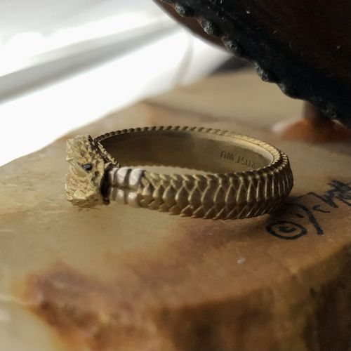 Customer photo review of Ouroboros Ring