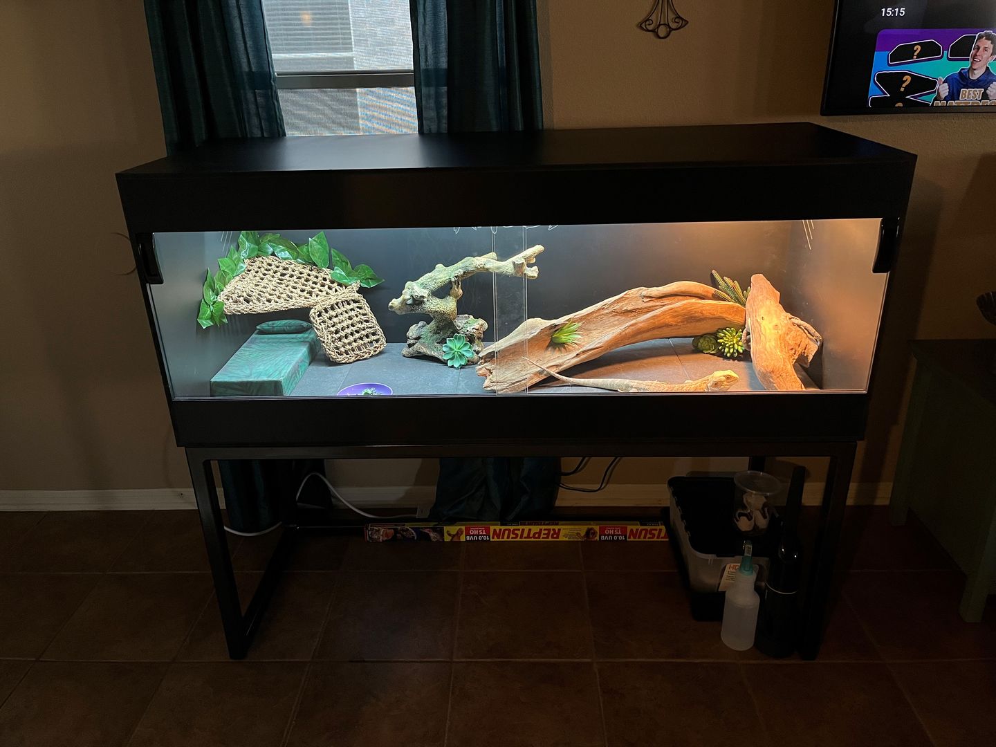 Customer photo review of 60"x24"x24" / 5'x2'x2' Premium PVC Reptile Enclosure