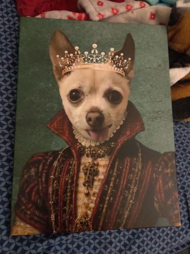 Customer photo review of The Spanish Princess: Custom Pet Canvas