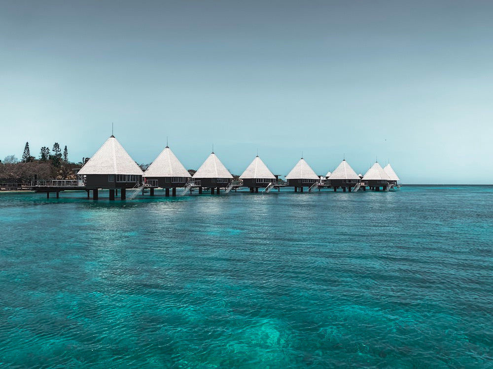 Customer photo review of The Master Collection Lightroom Presets
