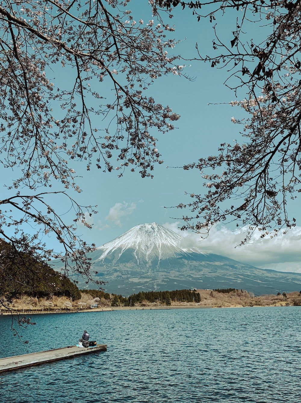 Customer photo review of The Master Collection Lightroom Presets