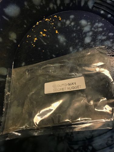 Customer photo review of Dutchman's 'SECRET NUGGET' Gold Paydirt - Gold Prospecting Concentrate