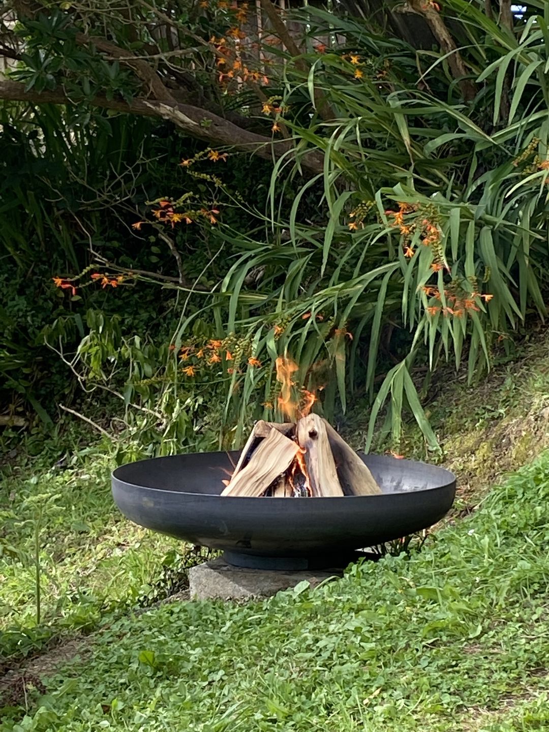Customer photo review of Outdoor Brazier Fire Pit Bowl - Natural Rust Patina Finish Corten Steel 80cm