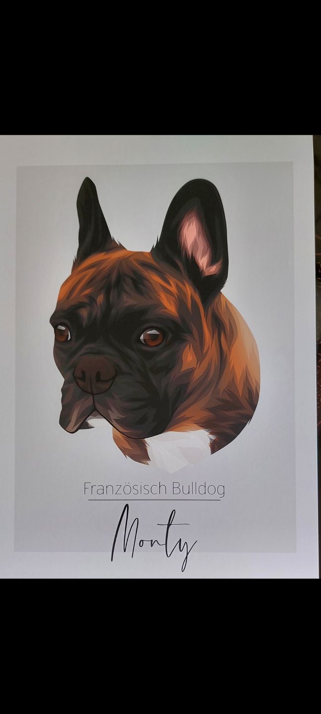 Customer photo review of Portrait deines Tieres