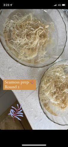 Customer photo review of St Lucia Wildcrafted Sea moss