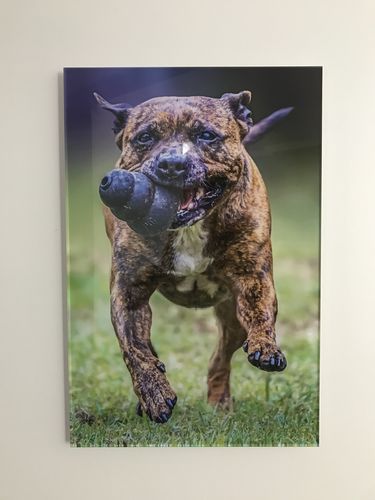 Customer photo review of Acrylic Mounting Panel - 40 x 60 cm