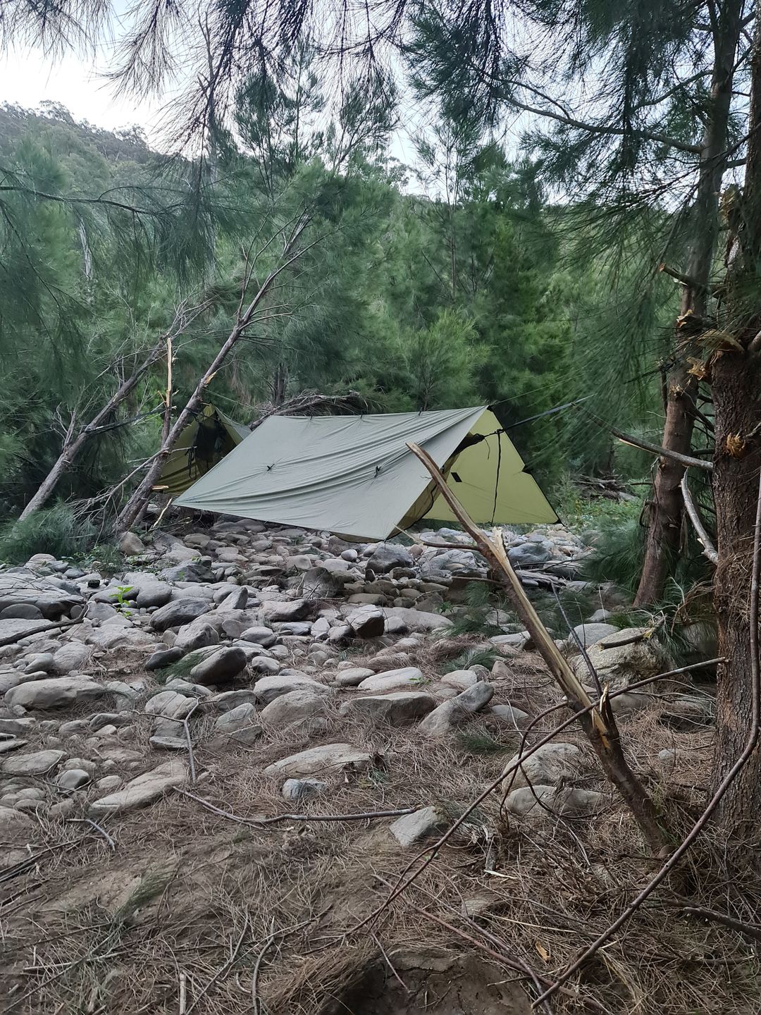 Customer photo review of Ultralight Hammock Set