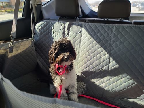 Customer photo review of Waterproof Non-Slip Car Seat Hammock Cover With Pockets, Side Flaps, Headrest Straps, Seat-Anchors, & Mesh Window (+FREE SAFETY BELT!)