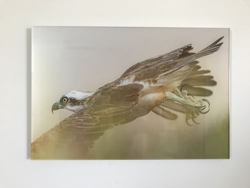 Customer photo review of Acrylic Mounting Panel - 40 x 60 cm