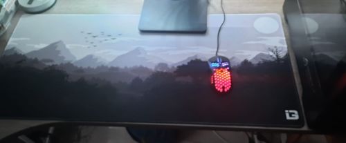 Customer photo review of Gulls - Monochrome