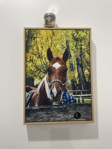 Customer photo review of Your Memory Framed PT | Framed Canvas