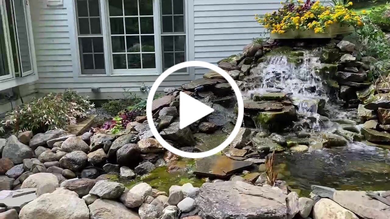 Customer video review of Large Waterfall Filter: Dolphin Hydro Vortex™