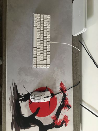 Customer photo review of Swordsman Pirate