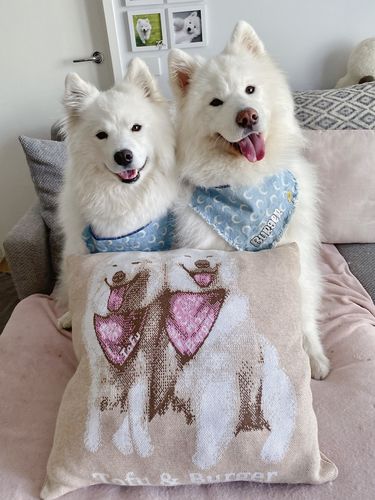 Customer photo review of [PREORDER] Custom Full Body Pet Portrait Pillowcase