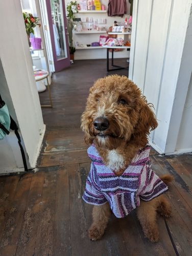 Customer photo review of Playa Poncho - Surprise Color