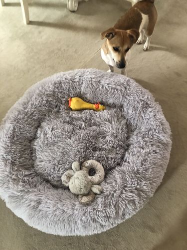 Customer photo review of Puppery Hundebett Wolke 7 - Das Original