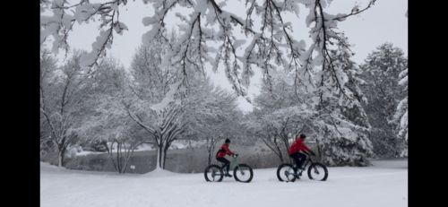 Customer photo review of Minnesota - Fat 26"