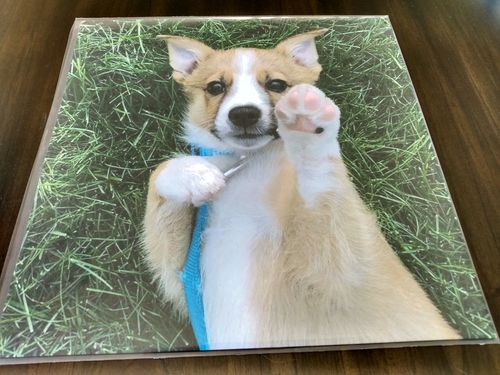 Customer photo review of Custom Vinyl Records