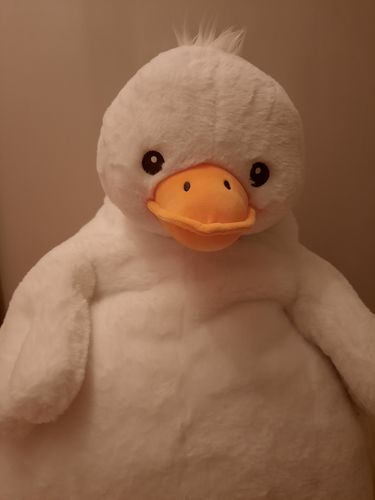 Customer photo review of Chubby Fluffy Duck Plush