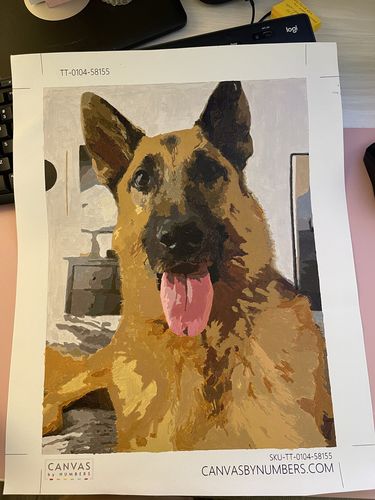 Customer photo review of Custom Paint by Numbers Kit