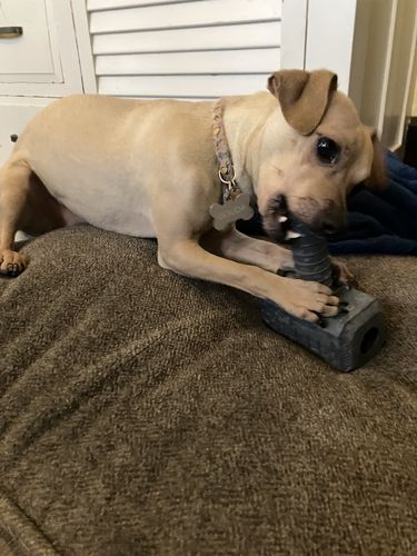 Customer photo review of The Fenrir Hammer