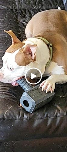 Customer video review of The Fenrir Hammer