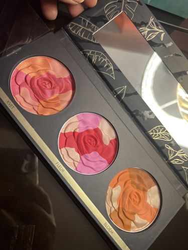 Customer photo review of Oh My Blush Pallete