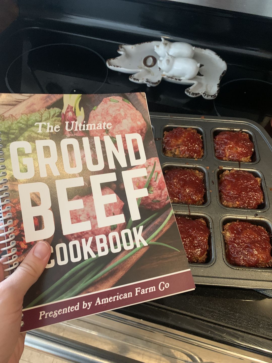 Customer photo review of NEW! The Ultimate Ground Beef Cookbook