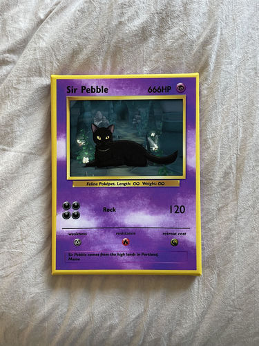 Customer photo review of PokePet Canvas