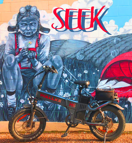 Customer photo review of Wallke H6 Dual Battery Folding Electric Bike