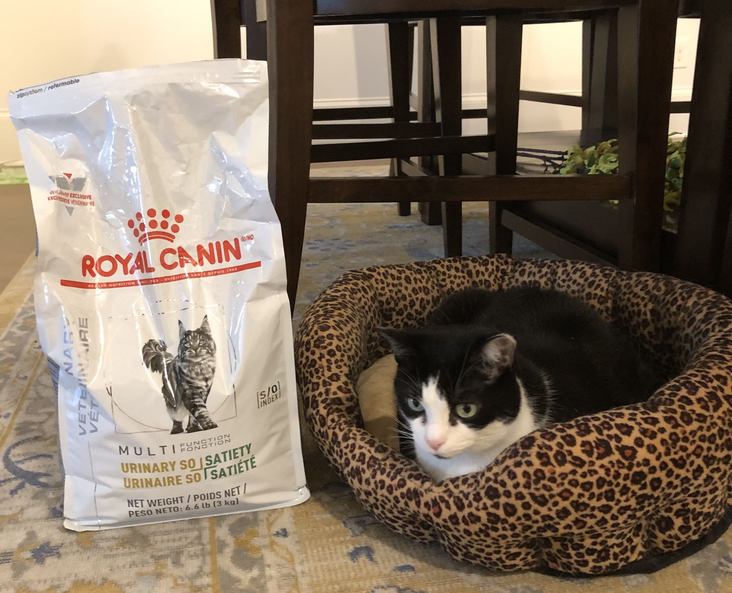 Customer photo review of Royal Canin Veterinary Diet - Urinary SO+ Satiety Dry Cat Food