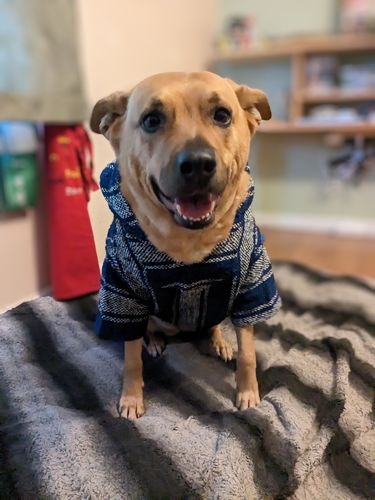 Customer photo review of Playa Poncho - Surprise Color