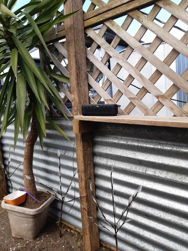 Customer photo review of Solar Bluetooth Speaker & Power-bank