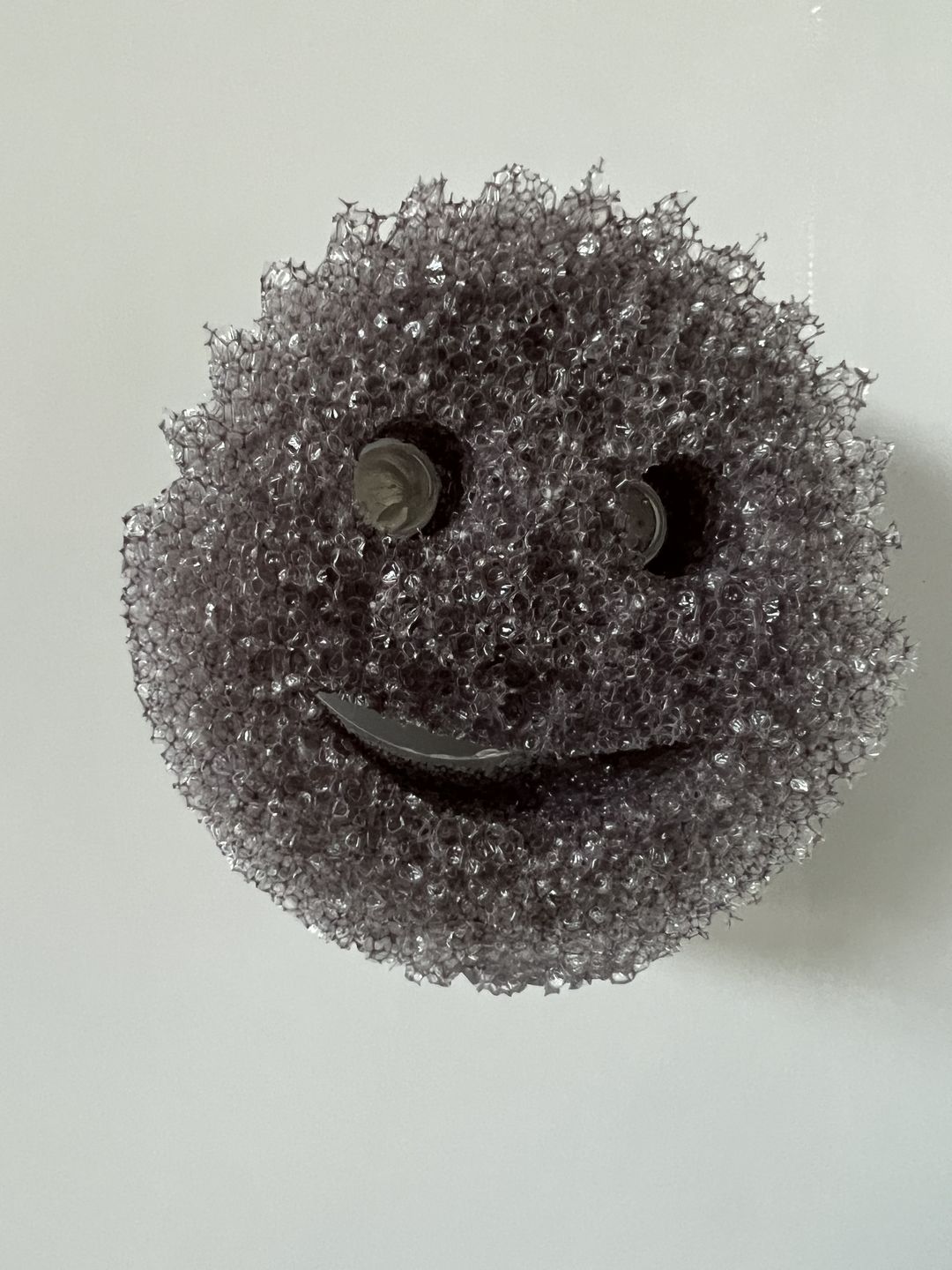 Customer photo review of Scrub Daddy Caddy