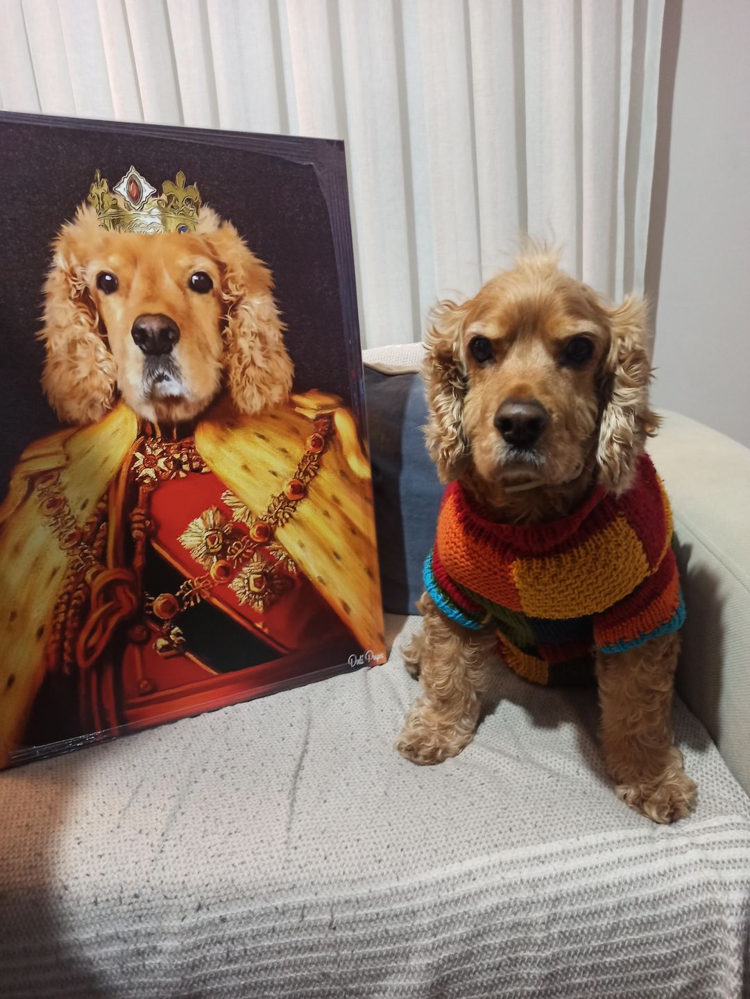 Customer photo review of The King of the Seven Kingdoms