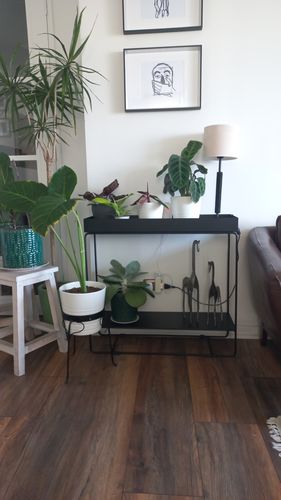 Customer photo review of Plant Station 2 Niveles 80  | Metal Black