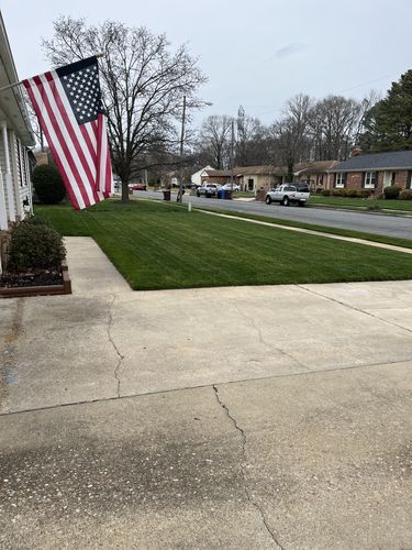 Customer photo review of N-Ext Humic12