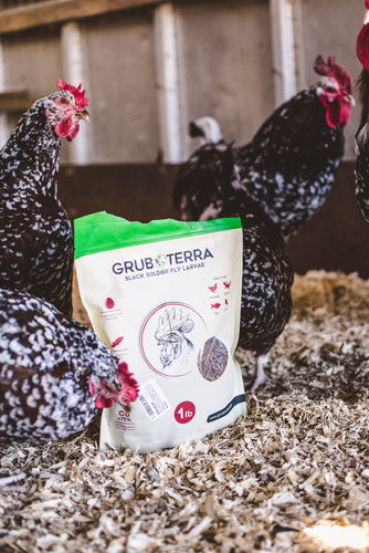 Customer photo review of GrubTerra Dried Larvae