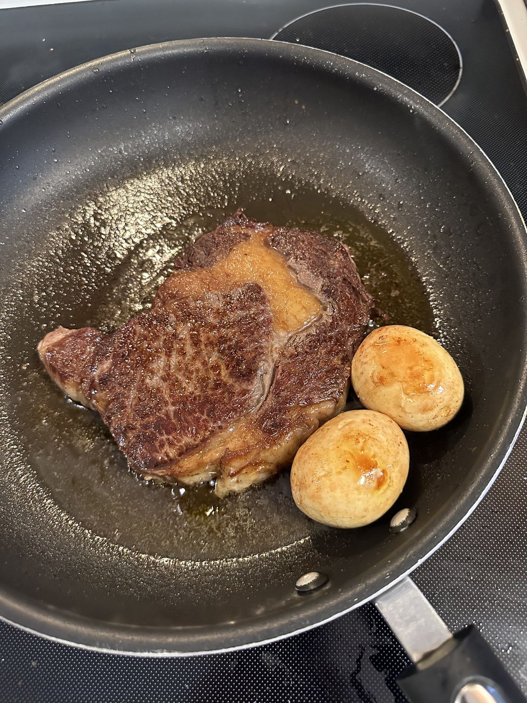 Customer photo review of Grass Fed Lamb Tallow (7.5 oz)