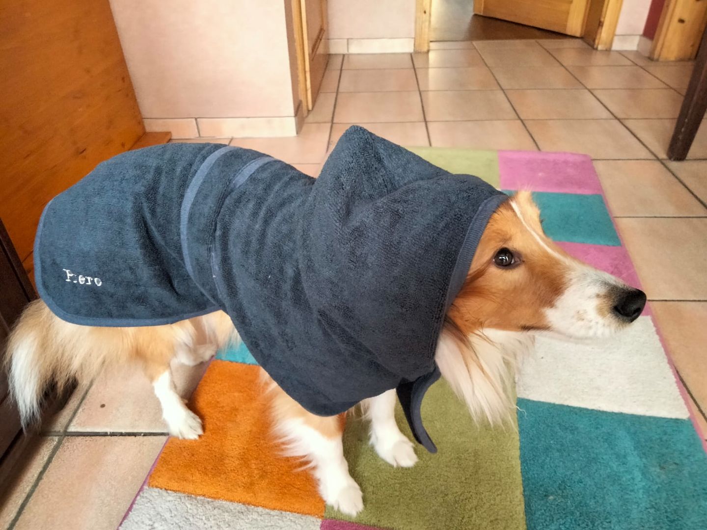 Customer photo review of Persönliche Gravur - Premium Hunde Bademantel