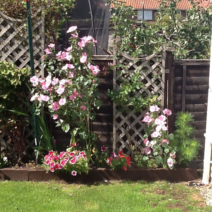 Customer photo review of Inspired by Neroli Portofino - 111