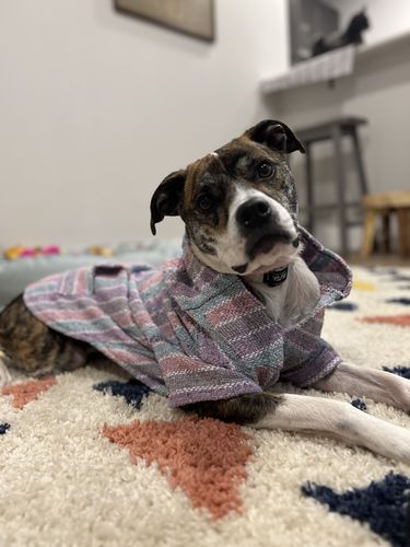 Customer photo review of Playa Poncho - Surprise Color